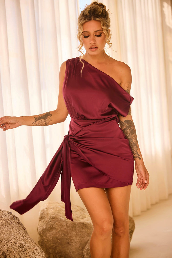 Still Lovers Mini Dress - Plum